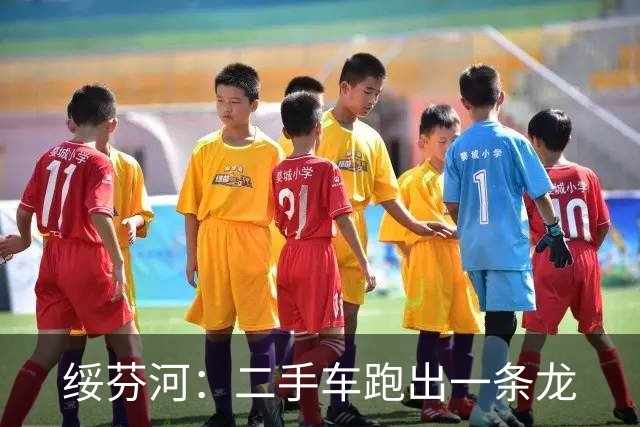 绥芬河：二手车跑出一条龙